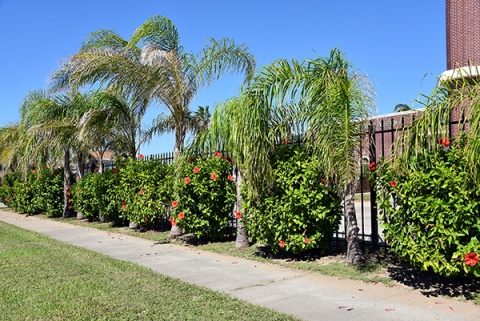Galveston Islamic Center, Galveston, TX, United States, 2017-10-6, 