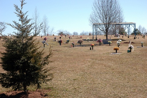 Prophet's Garden, Manassas, VA, United States, 2006-3-3, 