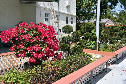 Muslim Community Of Palm Beach County, West Palm Beach, FL, United States, 2018-5-1, 