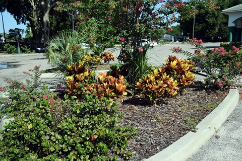 Islamic Center Of Polk County (ICOPC), Winter Haven, FL, United States, 2016-6-27, 