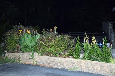 Masjid As Siddiq, Douglasville, GA, United States, 2016-6-21, 