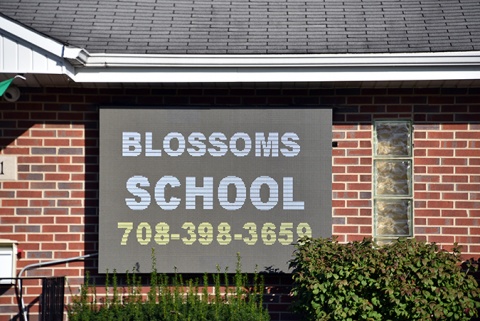 MAS Blossoms, Bridgeview, IL, United States, 2019-10-8, 