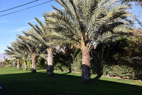 Islamic Society Of Coachella Valley, Coachella, CA, United States, 2020-1-2, 