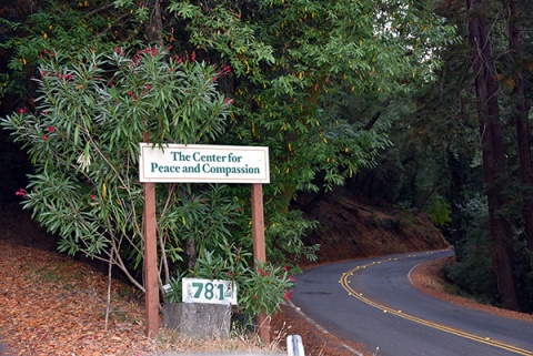 Center for Peace and Compassion, Fairfax, CA, United States, 2016-8-29, 