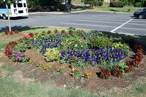 Hamzah Islamic Center (HIC), Alpharetta, GA, United States, 2016-6-20, 