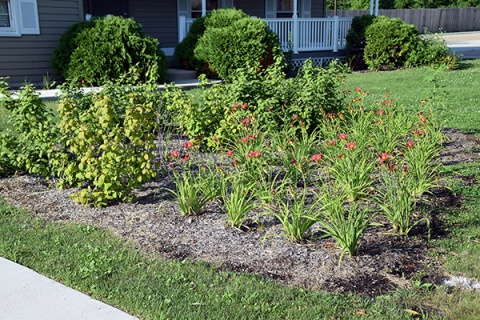 Islamic Center Of Western Suburbs (ICWS), West Chicago, IL, United States, 2016-7-22, 