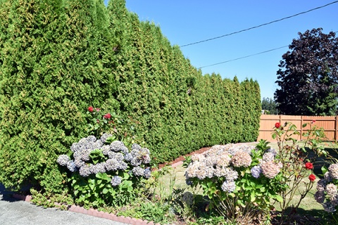 Islamic Society of Whatcom, Bellingham, WA, United States, 2016-8-15, 