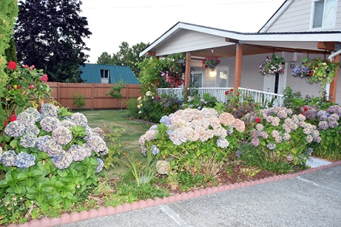 Islamic Society of Whatcom, Bellingham, WA, United States, 2016-8-15, 