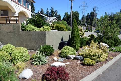 Islamic Community of Bosniaks in Washington, Shoreline, WA, United States, 2016-8-14, 