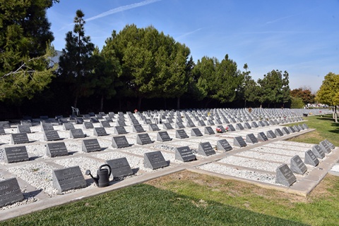 Islamic Garden, Westminster, CA, United States, 2020-1-4, 