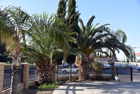 Arvin Islamic Center (AIC), Arvin, CA, United States, 2016-9-3, 