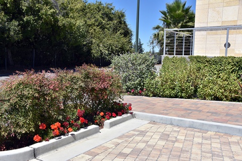 Hatemi Masjid, Palo Alto, CA, United States, 2016-8-30, 