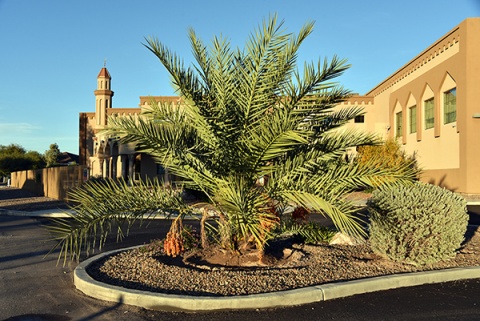 Muslim Community Center of Tucson, Tucson, AZ, United States, 2019-12-10, 