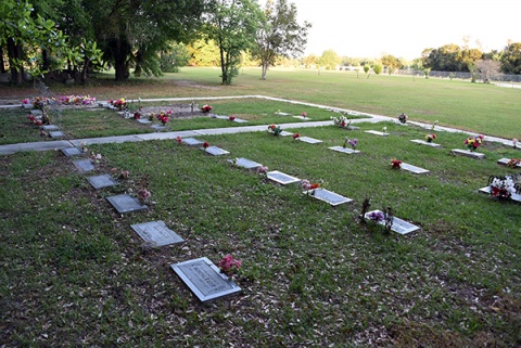 Rawdat Al-Salaam, Orlando, FL, United States, 2019-3-15, 