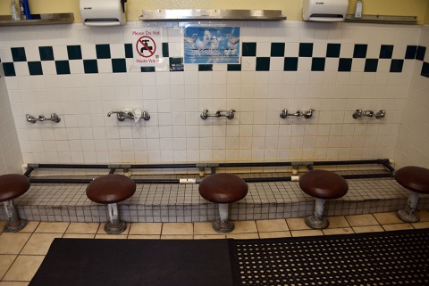 Fiji Jama'Atul Islam Of America, South San Francisco, CA, United States, 2016-8-30, 