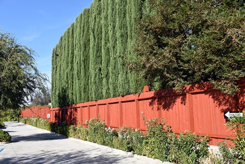 Islamic Society of Tracy, Tracy, CA, United States, 2016-9-1, 