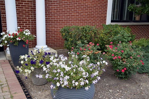 Islamic Society of Northwest Suburbs (ISNS), Rolling Meadows, IL, United States, 2016-7-21, 